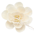 Chinese Hot Sale White Wooden Handmade Organic Material Dried Sola Wood Flower for Reed Diffuser